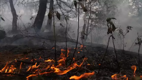 Ukum, último incendio activo en Hopelchén, ya fue controlado Ukum, último incendio activo en Hopelchén, ya fue controlado