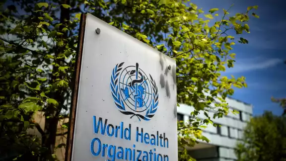 Identifican enfermedad desconocida que causó una emergencia sanitaria en el Congo. Identifican enfermedad desconocida que causó una emergencia sanitaria en el Congo.