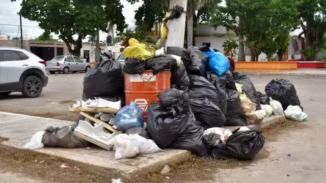 La basura crece, pero todos podemos ayudar: saca tus desechos a tiempo