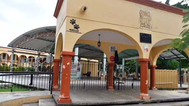 Más de 271 mil estudiantes y 17 mil docentes en Campeche retornarán a las aulas tras las vacaciones decembrinas