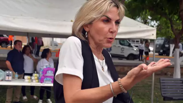 Vania Kelleher Hernández, directora del Instituto de la Mujer