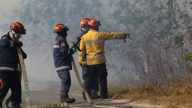 Los bomberos tuvieron que luchar contra el fuerte viento para combatir el fuego.