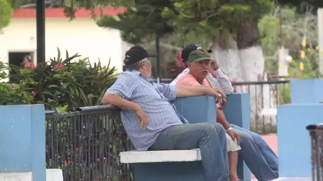 La población joven desconoce palabras y frases básicas en maya