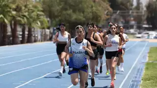 Atletismo, voleibol y básquet: Campeche participa en la edición XXII de Conadems