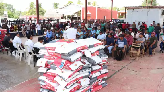 Afectados 770 campesinos y 1,400 hectáreas