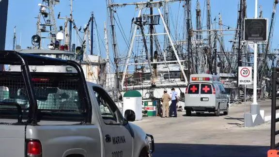 PAN advierte colapso del sector pesquero por falta de apoyo federal y estatal PAN advierte colapso del sector pesquero por falta de apoyo federal y estatal