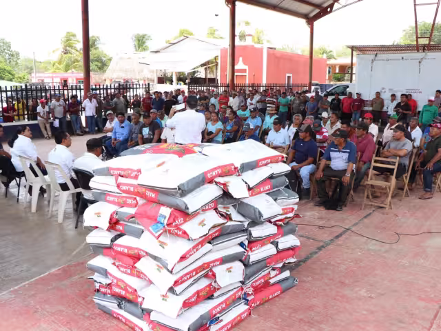 Afectados 770 campesinos y 1,400 hectáreas