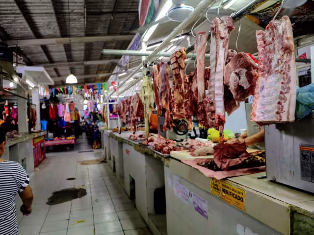 Venta de carne cae durante mes de enero en Chetumal.