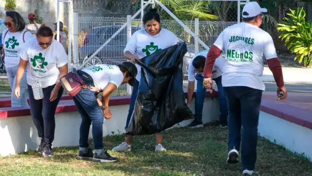 Las brigadas se encargaron de limpiar las áreas del parque.