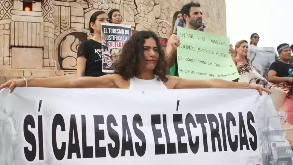 Activistas se manifiestan en contra de las calesas de caballos en Mérida Activistas se manifiestan en contra de las calesas de caballos en Mérida