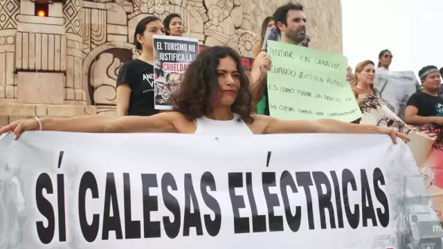 Activistas se manifiestan en contra de las calesas de caballos en Mérida