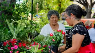 Expo Jardín y Artesanías en Mérida llena de color el parque de San Sebastián