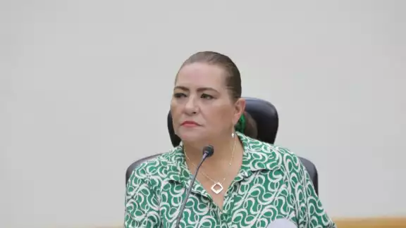 Guadalupe Taddei pide a actores políticos guardar la calma durante conteo de votos Guadalupe Taddei pide a actores políticos guardar la calma durante conteo de votos