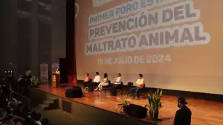 Maltrato animal en Yucatán, una tarea que debe atacarse desde lo individual  