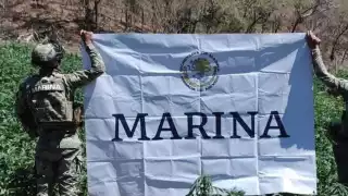 Marina y FGR desmantelan más de 200 laboratorios de drogas en Sinaloa, Durango y Sonora