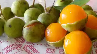 Temporada de huayas en Campeche: Conoce los beneficios de este rico manjar