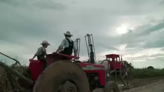 Niegan venta de terrenos a familias menonitas para evitar deforestaciones en  Chetumal