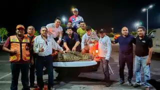 Autoridades capturan y reubican a enorme cocodrilo en zona urbana de Progreso