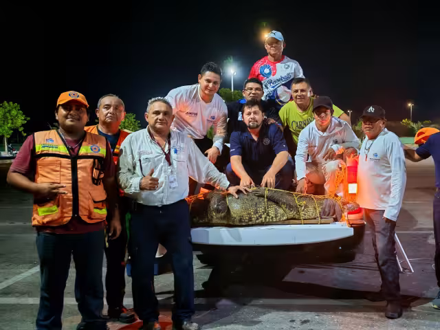 La autoridad no precisó si se trata de Juancho