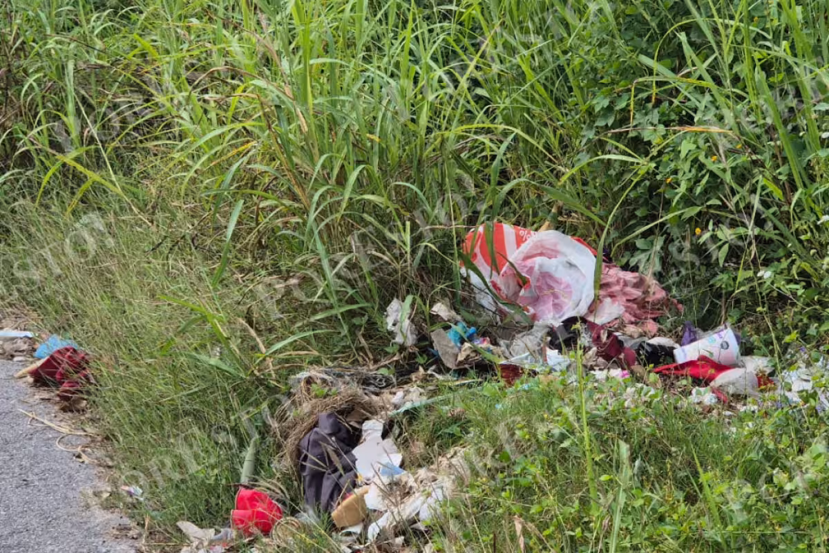 Vecinos hartos de malos olores por lote baldío lleno de basura en ...