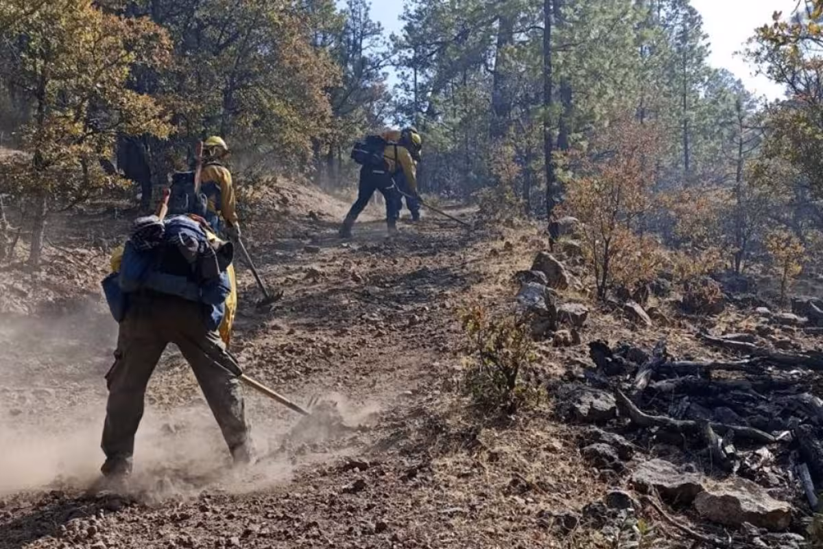 Incendio en el cerro del Tepozteco cumple tres días afectando 100 ...