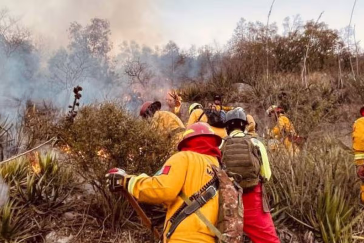 Incendio en el Cerro del Topo Chico: Protección Civil de Nuevo León ...
