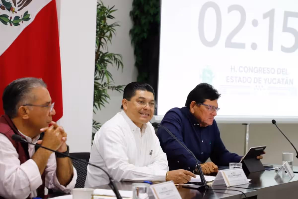 Avanza en comisiones del Congreso de Yucatán la reforma a la Ley del ...
