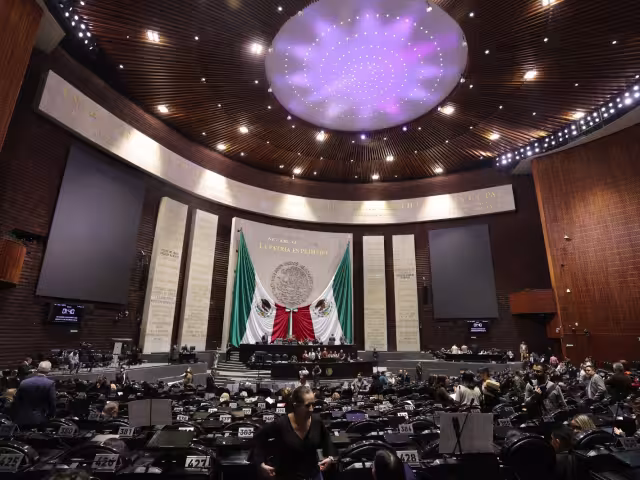 Se aprobó en la Cámara de Diputados la Ley del IEPS.