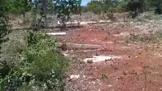  Dan de alta las tierras de Montecristo en Pomuch ante el RAN   