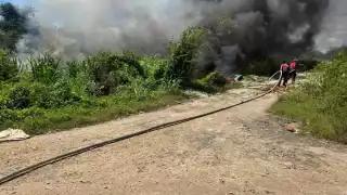 Descuido humano provoca incendio forestal en colonia Bicentenario de Chetumal