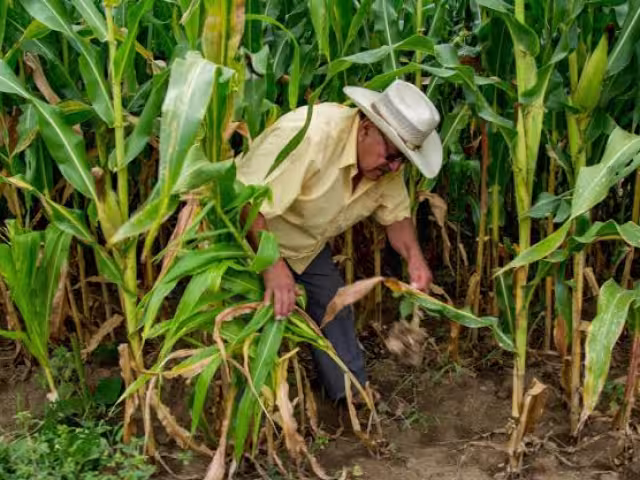 Pablo Duarte Sánchez ve la llegada de trabajadores agrícolas como una oportunidad de crecimiento pero destaca la falta de infraestructura