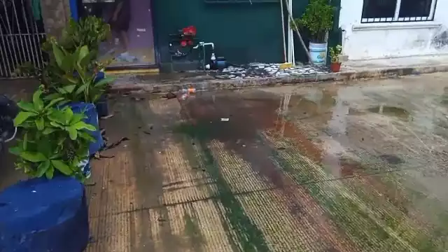 Vecinos se preocupan que los malos olores puedan afectar a las personas, en especial a los niños