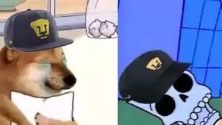 Memes al Rescate: Pumas vs. Pachuca, el partido que entretuvo más en redes  sociales