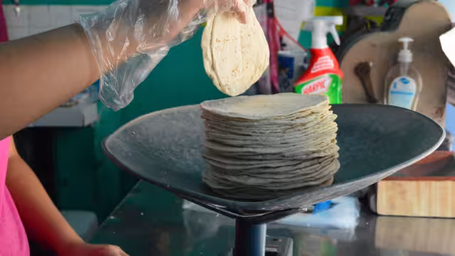 Consejo Mexicano de la Tortilla informó que la tortilla podría incrementar hasta cinco pesos a finales del año