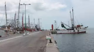 Únicamente 60 embarcaciones de Campeche zarparán hoy a la captura del camarón