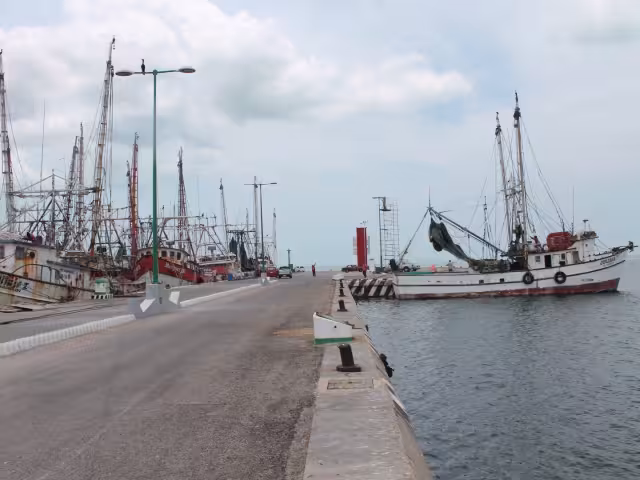 Campeche enfrenta su año más bajo en captura de camarón