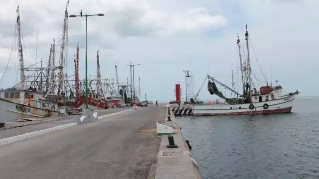 Campeche enfrenta su año más bajo en captura de camarón