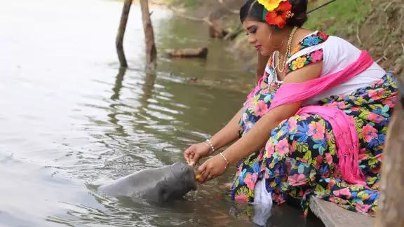 Jonuteek, el santuario de manatíes en Tabasco, que promueve la conservación de la especie Jonuteek, el santuario de manatíes en Tabasco, que promueve la conservación de la especie