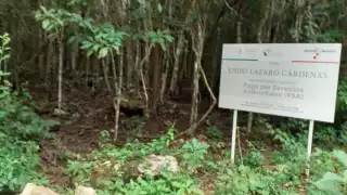 Individuo fue detenido por presunta intención de caza furtiva en reserva Balaam K'aax.