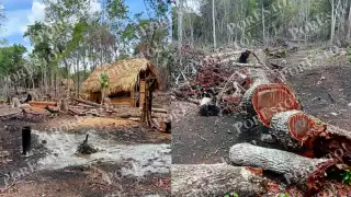 Grave ecocidio en Hopelchén: Invaden y deforestan 10 mil hectáreas en zona protegida de Balamkú 