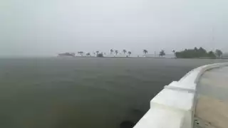 Autoridades locales han implementado el “Operativo Tormenta”, que consiste en la limpieza de calles y el desazolve de alcantarillas por los efectos de la Tormenta Tropical 'Nadine'