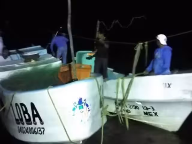 Los ladrones son violentos e incluso crueles, dicen socios de cooperativas