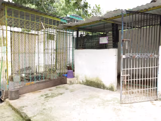Los administradores del refugio esperan ayuda del Ayuntamiento para seguir cuidado a los perritos