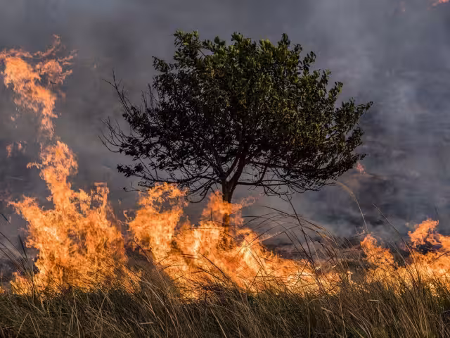 Campeche sigue al rojo vivo con el registro de dos nuevos incendios forestales