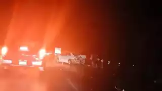 Cae árbol en la autopista Campeche-Champotón y provoca cierre de más de dos horas