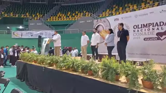 Artemarcialista Emiliano Aristi Villamil obtiene la primera medalla de oro para Yucatán
