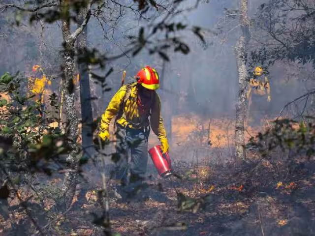 Autoridades iniciaron estrategias previas a la temporada de incendios forestales en Quintana Roo