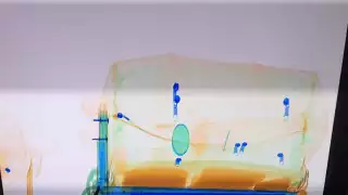 ¡Alerta Aeropuerto! Detienen a sujeto que pretendía viajar con drogas de Cancún al extranjero