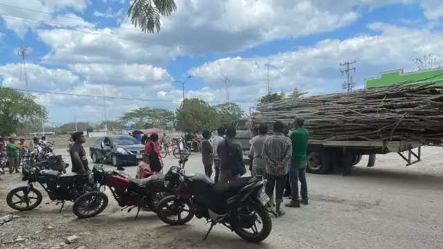 Gente de Kinchil cortó maderos en terrenos de San Antonio Tedzidz para construir un coso taurino