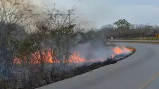 Persisten incendios en Campeche por quemas agrícolas y falta de lluvias   